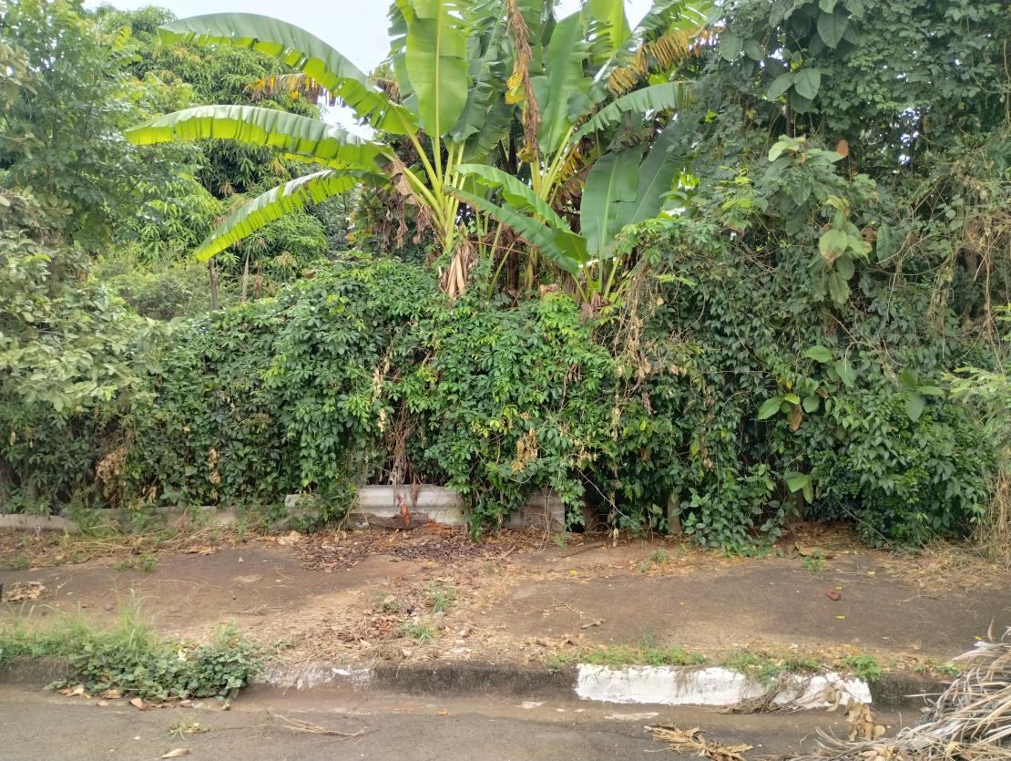 Terreno